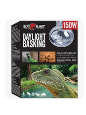 REPTI PLANET Daylight BASKING SPOT lempa, 150 W 